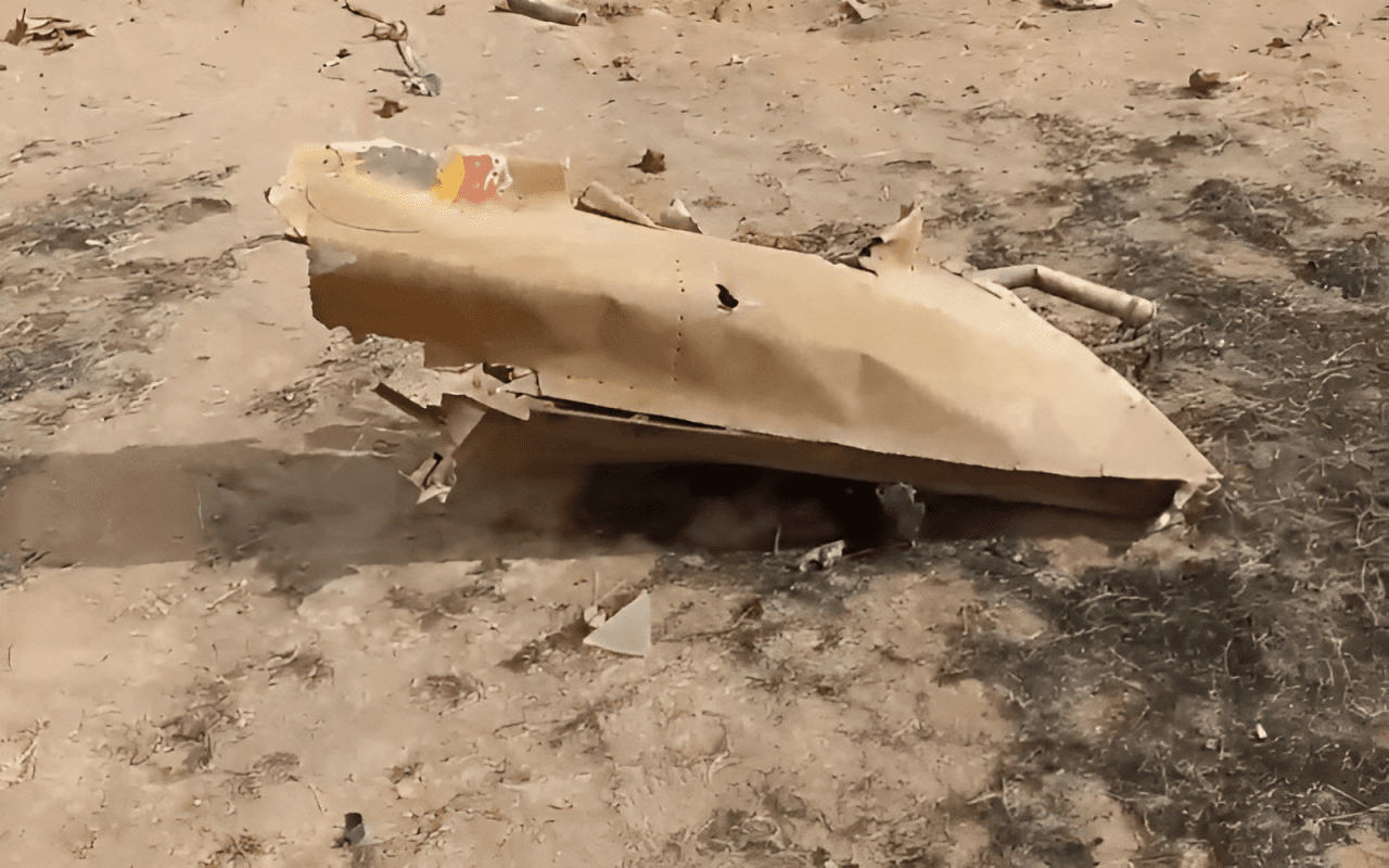 هواپیمای تهاجمی L-39 روسیه در مالی سقوط کرد 